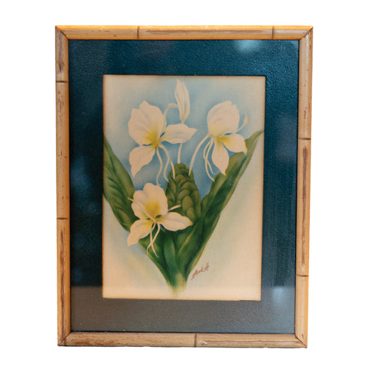 Hawaiian White Ginger - Vintage Hawaiian Airbrush Art by Ted Mundorff c.1940