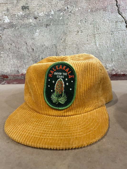 Haleakala Corduroy hat / Mustard